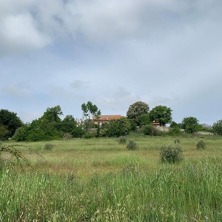Domaine Le Commandaire Roumoules Buitenkant foto